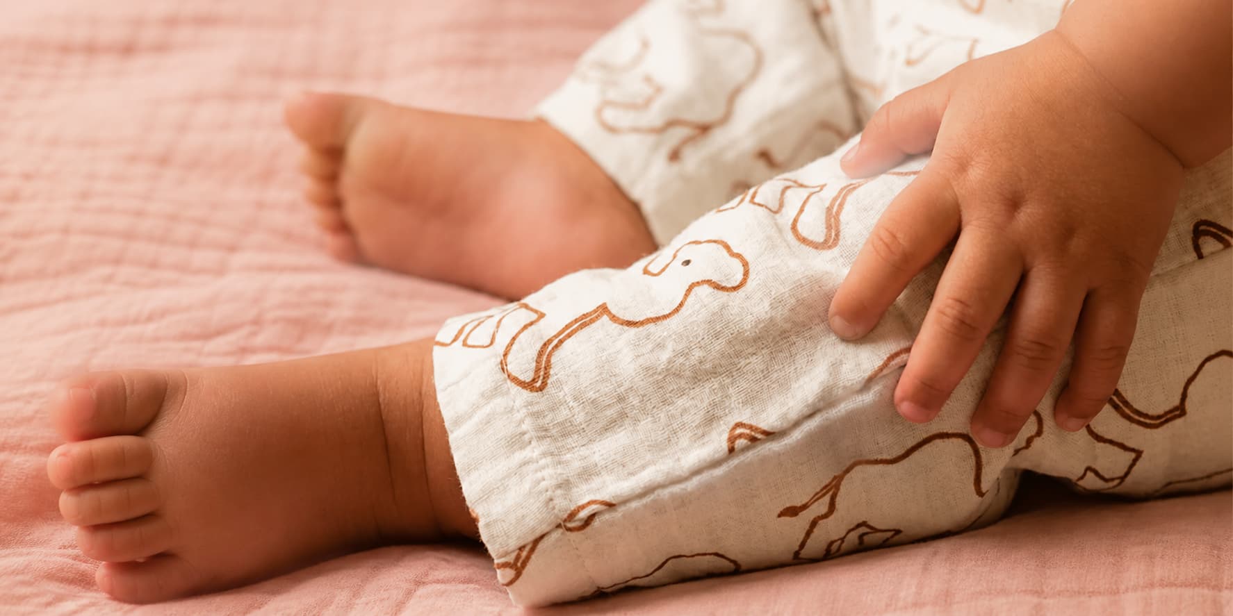 toddler organic clothing
