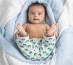 0-3 Months / Elephant