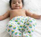 3-6 Months / Elephant