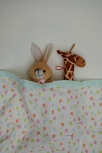 cpi launches blankets